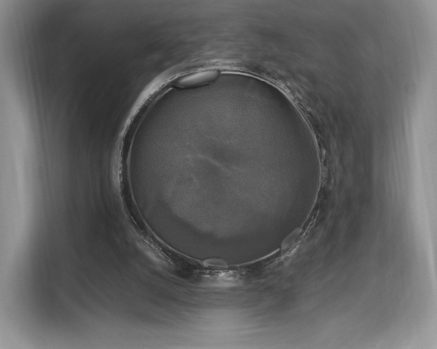 X0000113140056200909110942