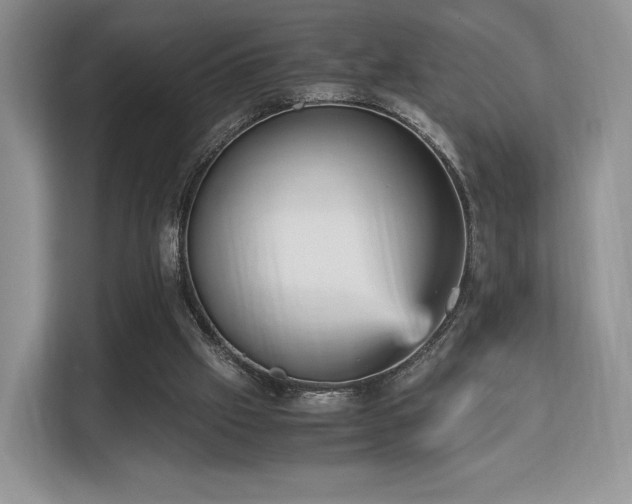 X0000113140057200909110942