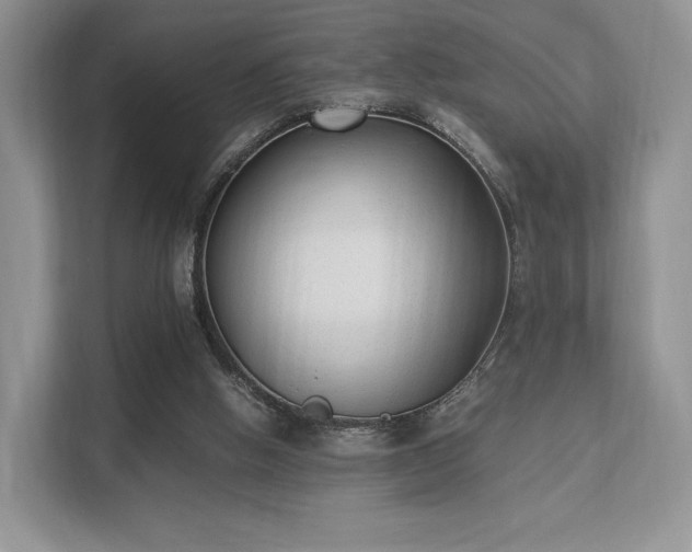 X0000113140058200909110942