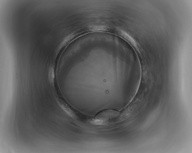 X0000113140059200909110942