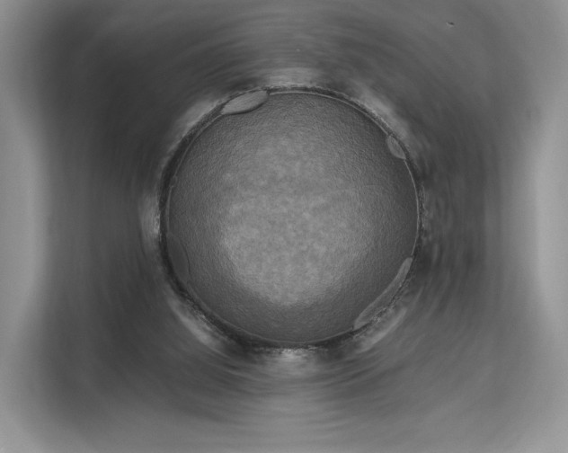 X0000113140060200909110942