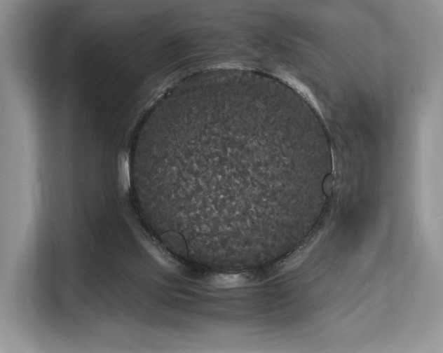 X0000113140061200909110942