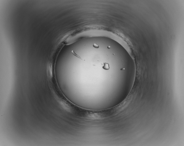 X0000113140062200909110942