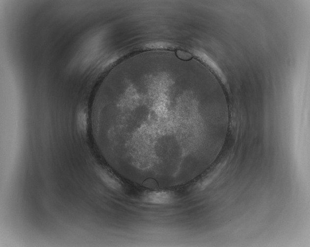 X0000113140063200909110942