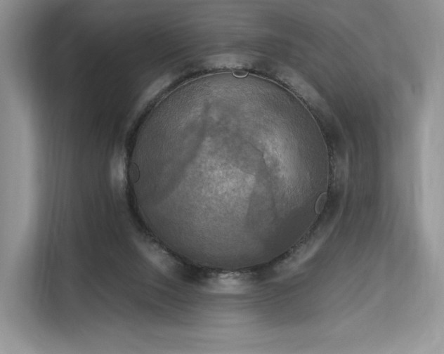 X0000113140064200909110942