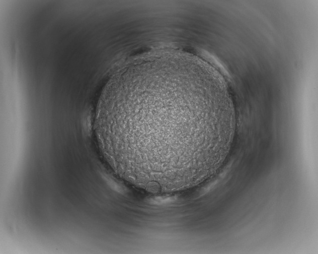 X0000113140065200909110942