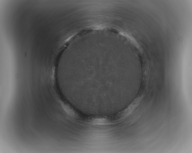 X0000113140066200909110942