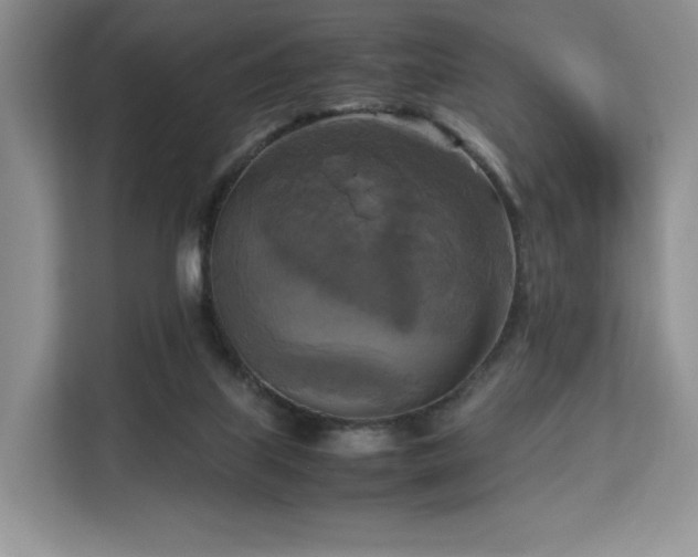 X0000113140067200909110942