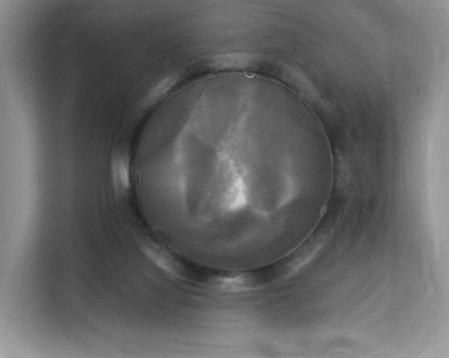 X0000113140068200909110942