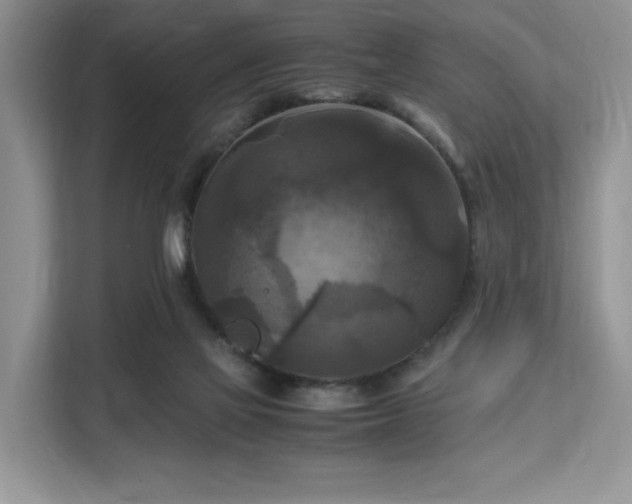 X0000113140069200909110942