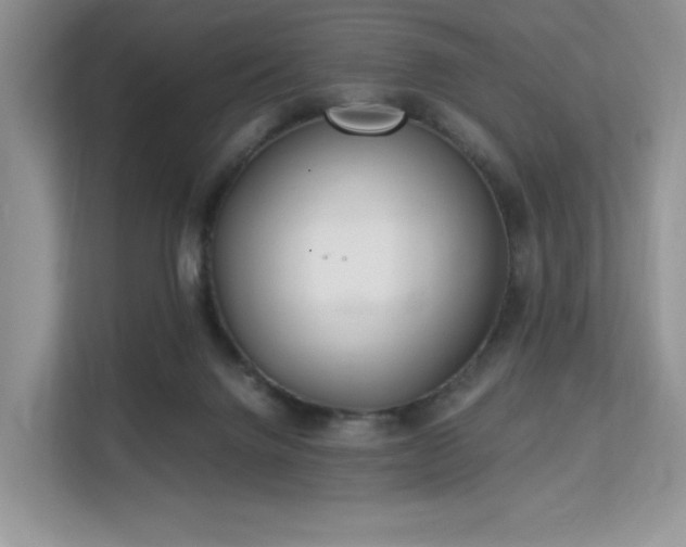 X0000113140072200909110942