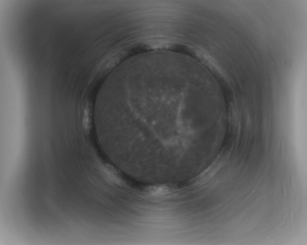 X0000113140074200909110942