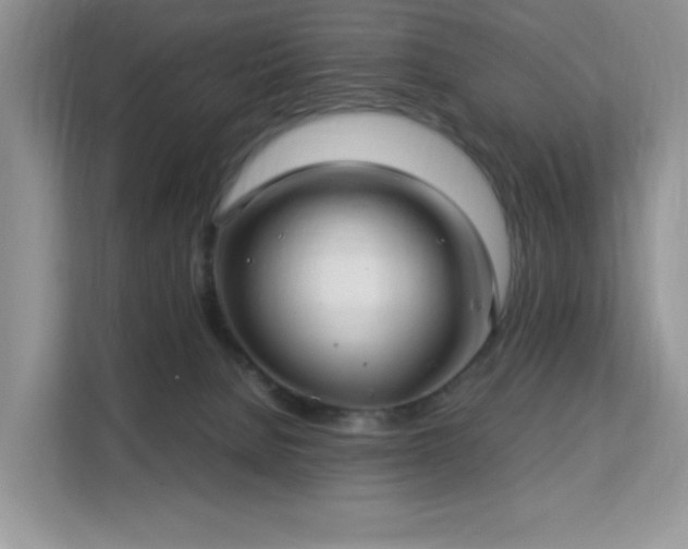 X0000113140080200909110942