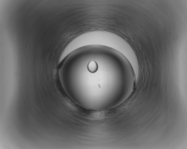 X0000113140084200909110942