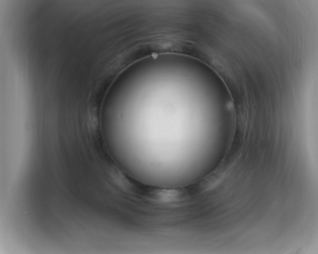 X0000113140085200909110942