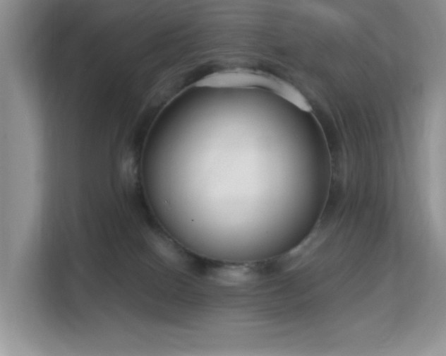 X0000113140086200909110942