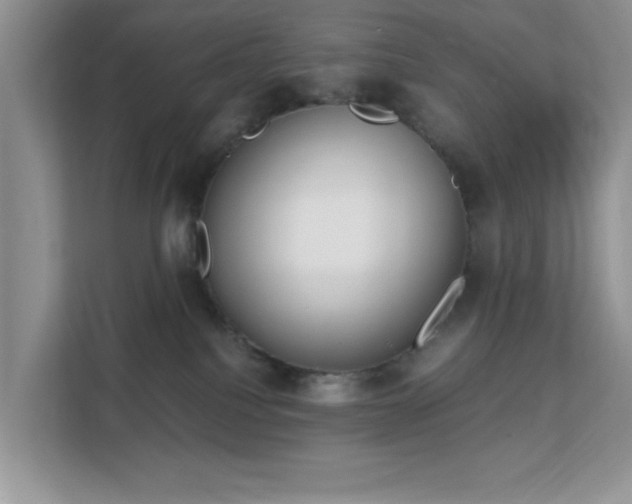 X0000113140088200909110942