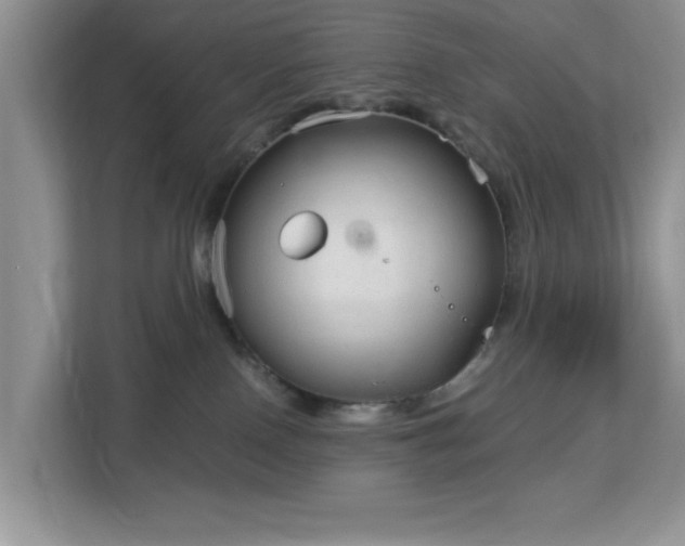 X0000113140090200909110943