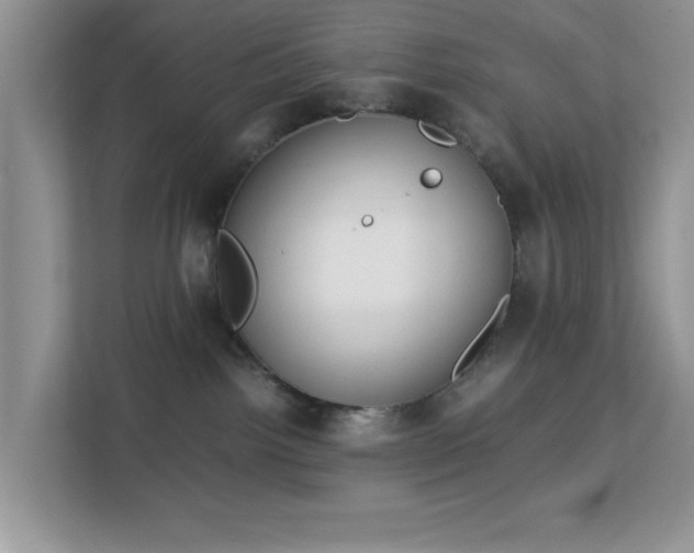 X0000113140092200909110943