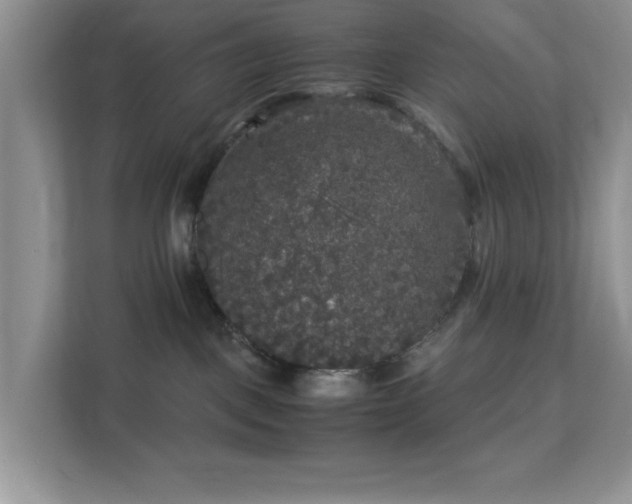 X0000113140093200909110943