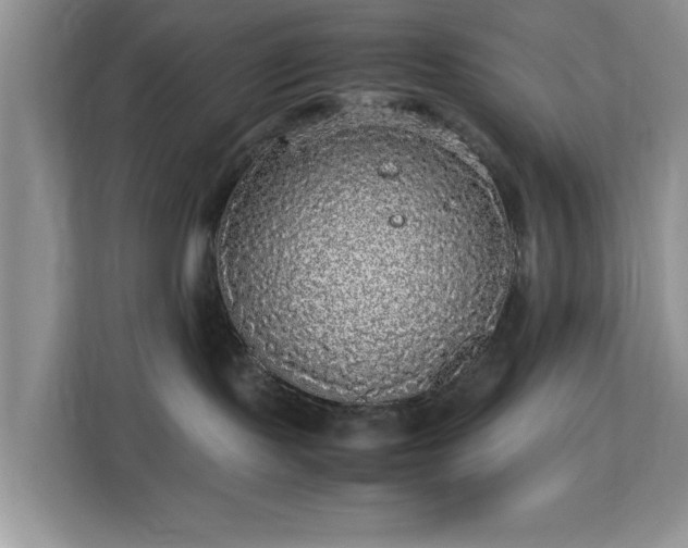 X0000113140095200909110943