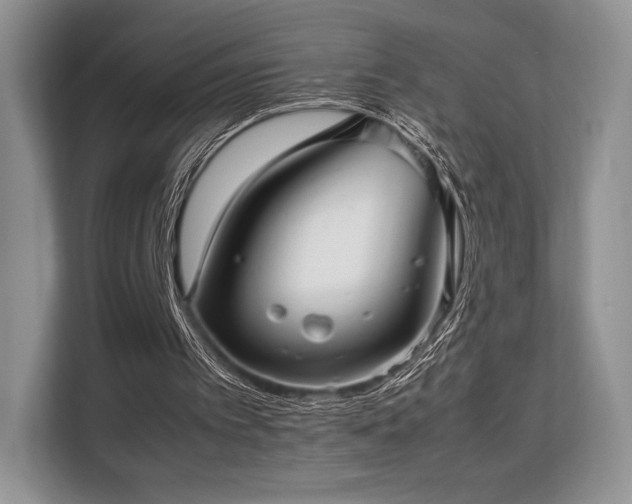 X0000113140097200909110942