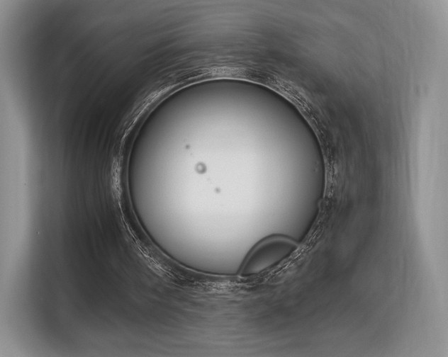 X0000113140098200909110942