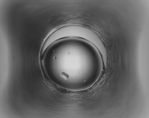 X0000113140100200909110942