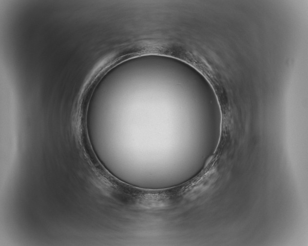 X0000113140101200909110942