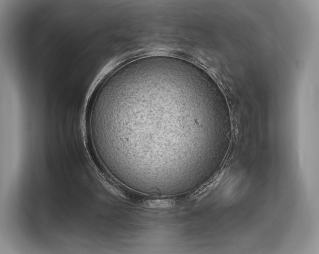 X0000113140102200909110942