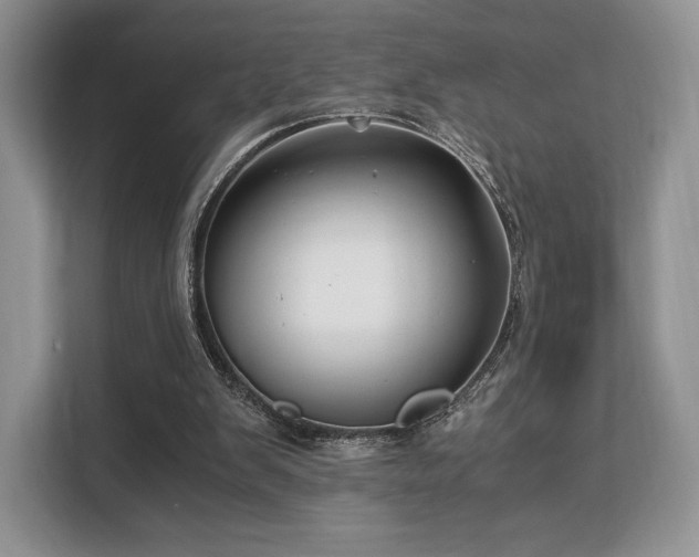 X0000113140103200909110942