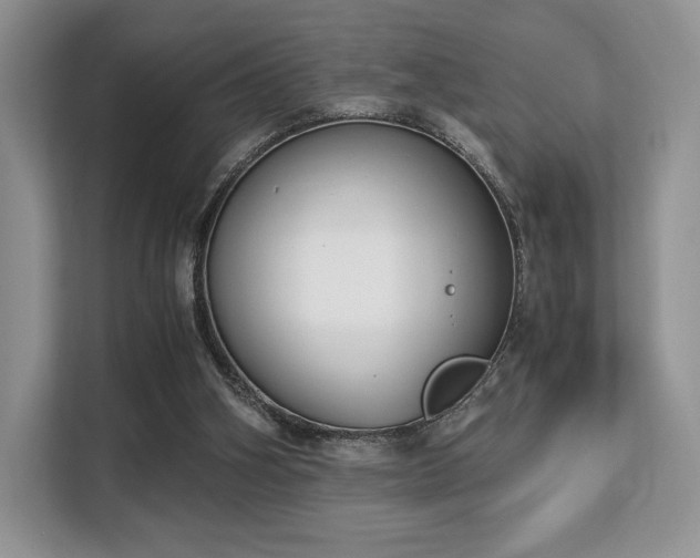 X0000113140106200909110942