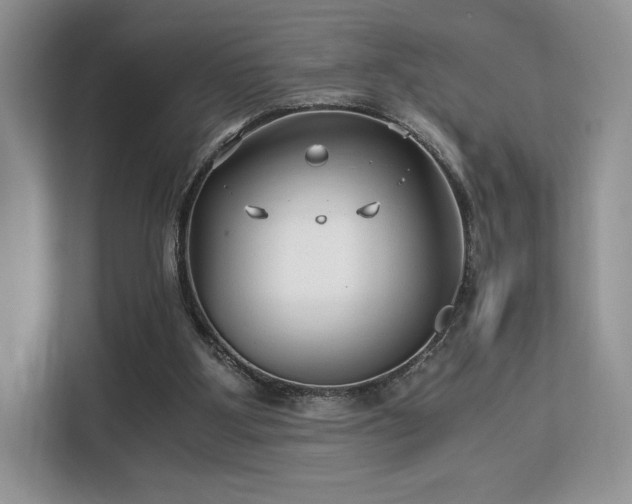 X0000113140107200909110942