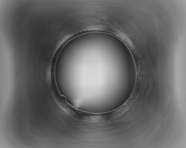 X0000113140108200909110942