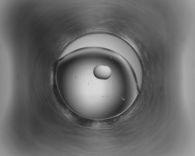 X0000113140109200909110942