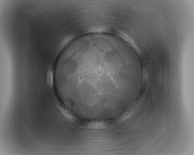 X0000113140110200909110942