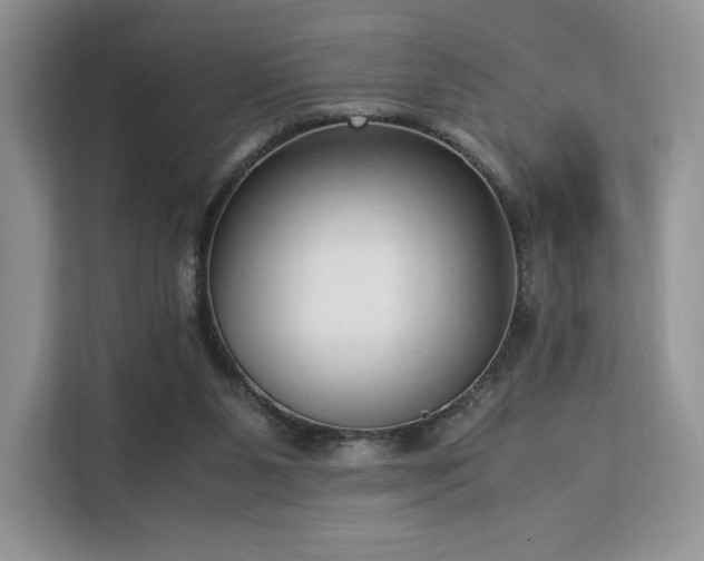 X0000113140111200909110942