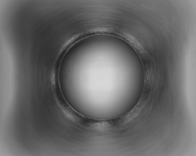 X0000113140112200909110942