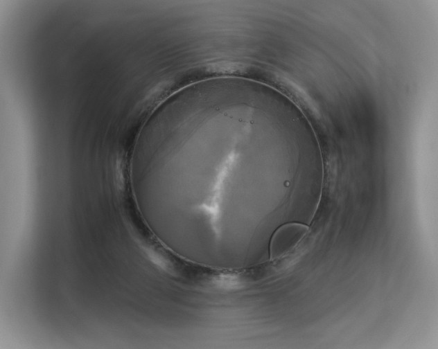 X0000113140114200909110942