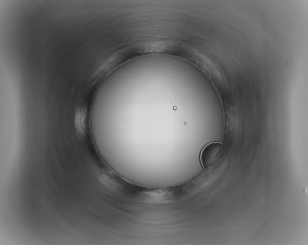 X0000113140118200909110942