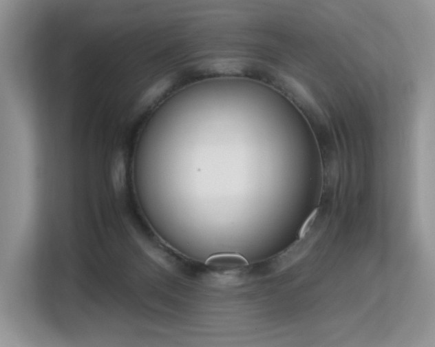 X0000113140120200909110942