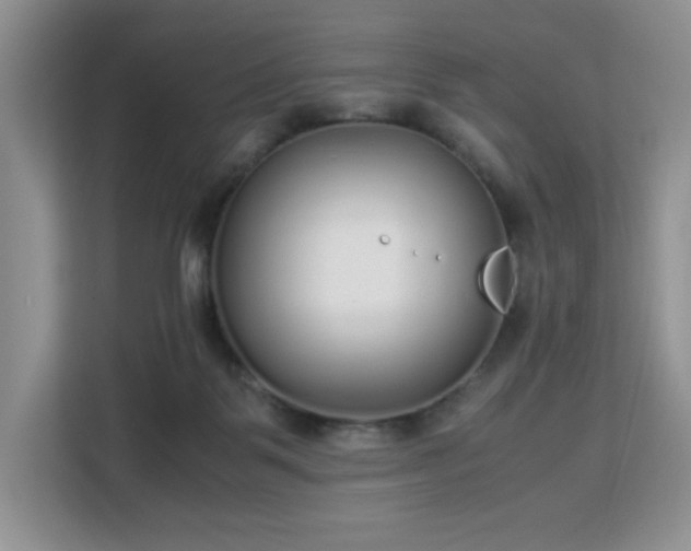 X0000113140123200909110942