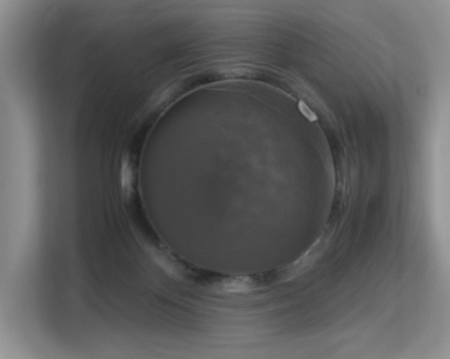 X0000113140124200909110942