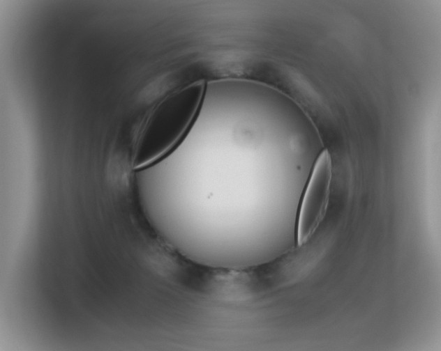 X0000113140125200909110942