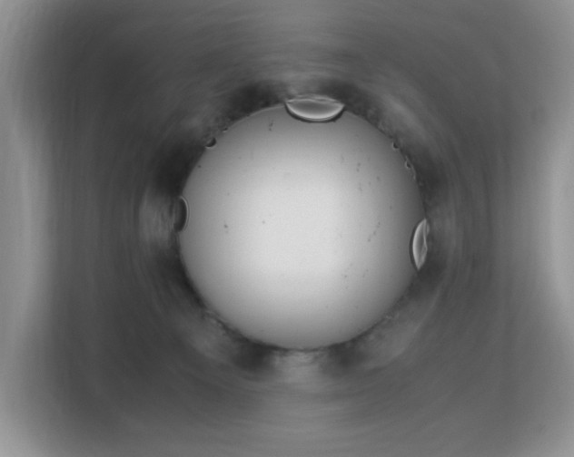 X0000113140129200909110942