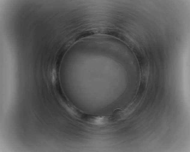 X0000113140130200909110942