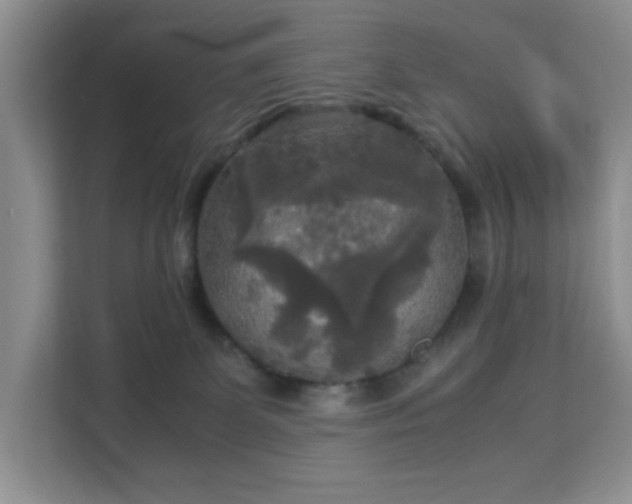 X0000113140131200909110942