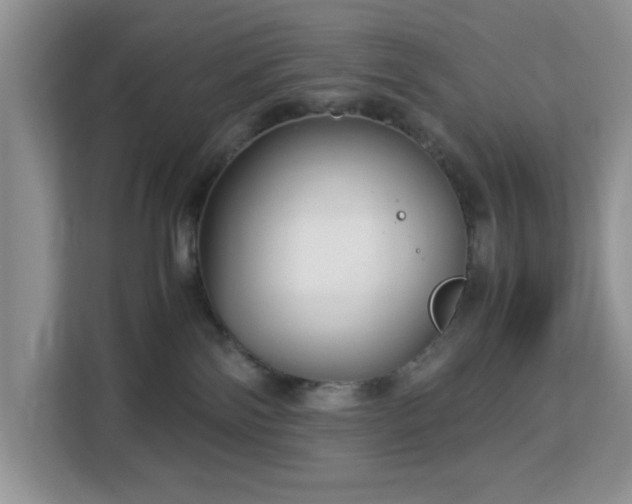 X0000113140138200909110941