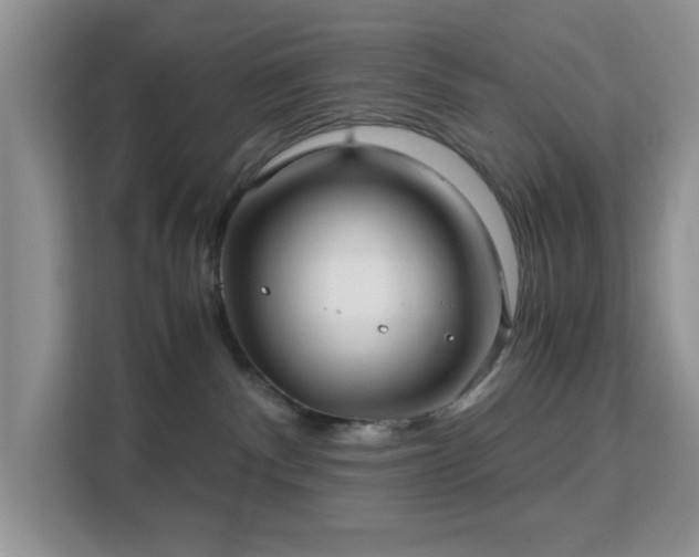 X0000113140140200909110941