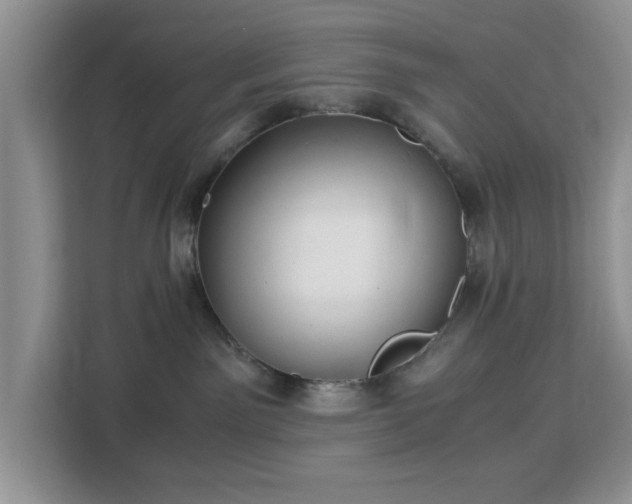 X0000113140141200909110941